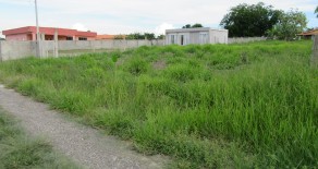 TERRENO c/ ESCRITURA 1.000 M2 – REF: 202