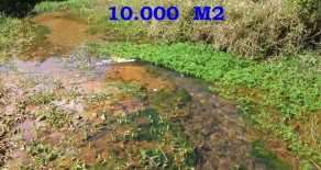 TERRENO c/ ESCRITURA 10.000 M2 – REF: 150