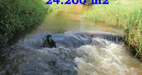 TERRENO c/ ESCRITURA 24.000 M2 – REF: 206