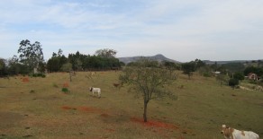 TERRENO c/ ESCRITURA 10.000 M2 – REF: 137