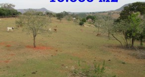 TERRENO C/ ESCRITURA 10.036 M2 – REF: 137