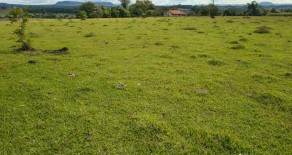 TERRENO c/ ESCRITURA 20.000 M2 – REF: 205