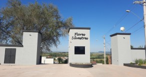 TERRENO c/ ESCRITURA 1.000 M2 – REF : 204